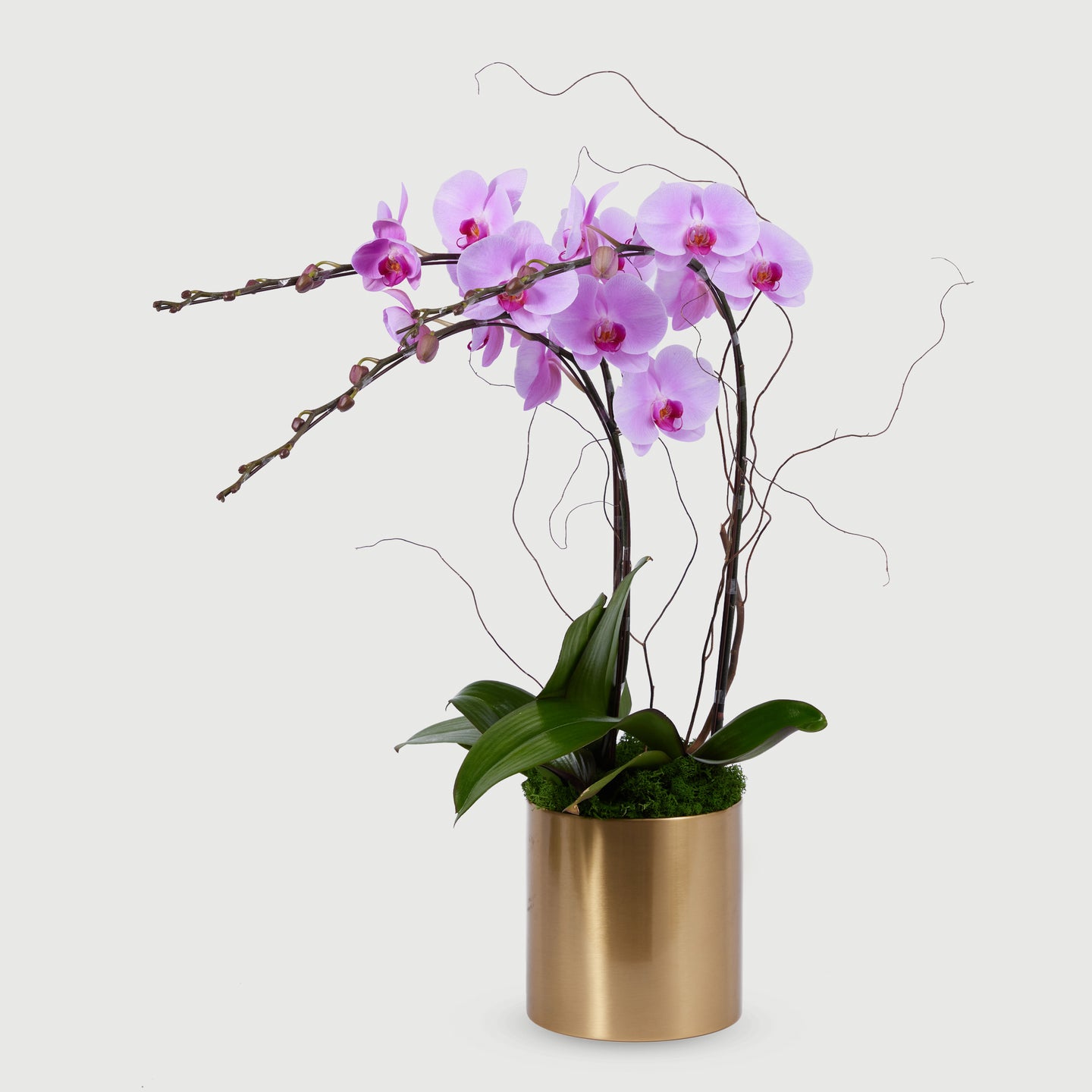 3 STEMS ORCHID - PINK