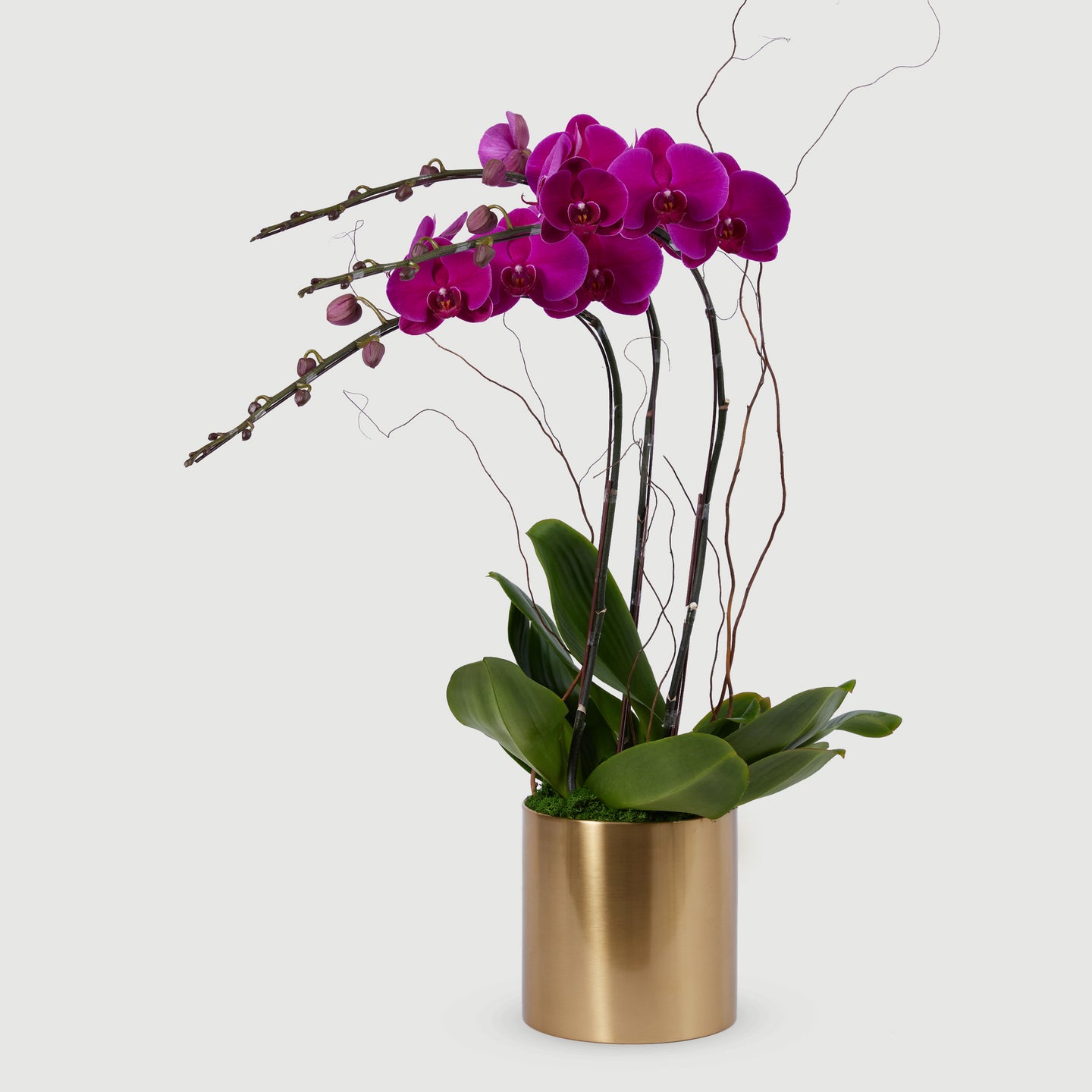 3 Stems Orchid - Red
